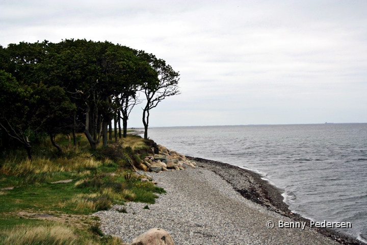 Gulstav strand.jpg - Gulstav strand Fra Dovns Klint, kan man spadsere langs med stranden til Gulstav klint og strand